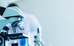 Microscope